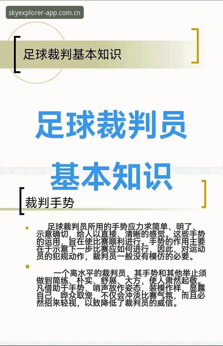 无视差评解码教程——从马宁的裁判哲学看足球的判断标准